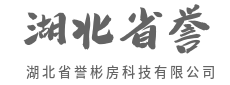数据洞察,看见看不见的价值-湖北省誉彬房科技有限公司